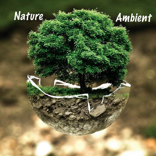 Nature Ambient