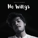 No Wings