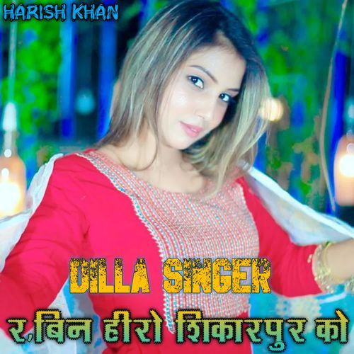रॉबिन हीरो शिकारपुर को