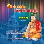 Anithamaana artwork