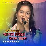 Pagol Hoiya Pagol Dake