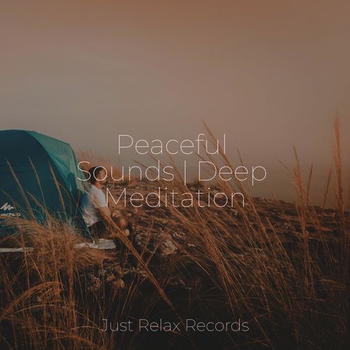 Peaceful Sounds | Deep Meditation