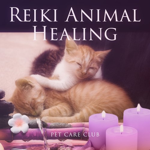 Reiki Animal Healing – Soothing Music for Pet Spa Massage & Wellness, Calm Down & Relax, De-Stress & Anxiety Relief, Pet Therapy, Cat Dog Sleep Music
