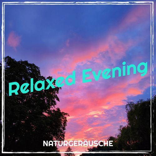 Relaxed Evening_poster_image