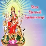 Shree Sherawali Gynanaswarupi movie poster