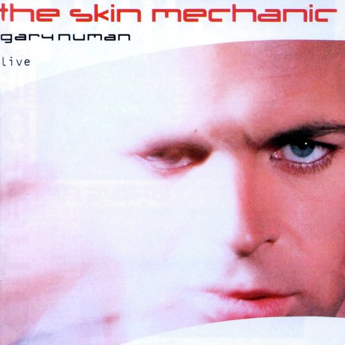 The Skin Mechanic