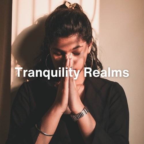 Tranquility Realms_poster_image