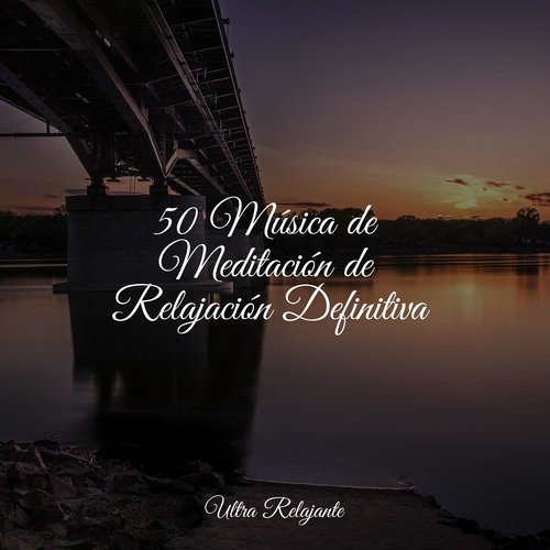 50 Música de Meditación de Relajación Definitiva_poster_image