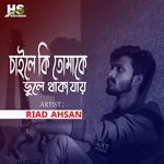 Chaile Ki Tomake Vule Thaka Jai