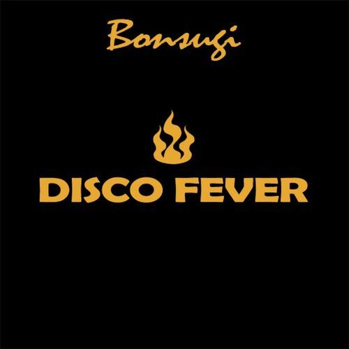 Disco Fever (Polizei Control Mix) cover art