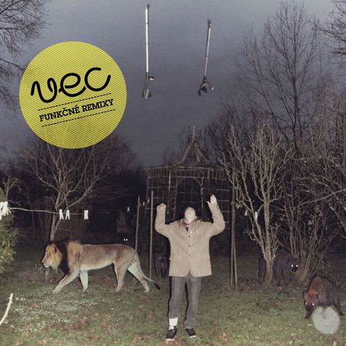 Nikdy nevieš (The Autumnist Remix) (The Autumnist Remix) cover art
