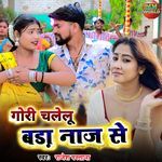 Gori Chalelu Bada Naj Se