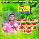 Janina Kon Oporadhe Dile Amai Saja