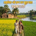 প্রকৃতির এই রূপ দেখে হৃদয় ছুয়ে যায় - সবুজের দেশে