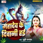 Mahadev Ke Diwani Hai