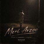 Meri Arzoo