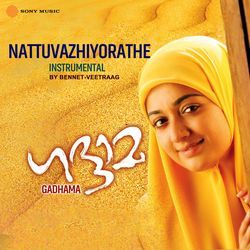 Naattuvazhiyorathe (Instrumental)
