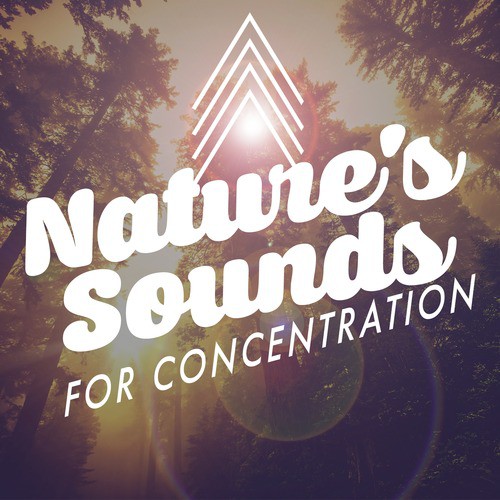 Nature's Sounds for Concentration