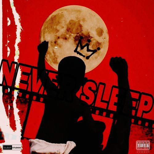 Never Sleep (feat. Yung Niks & Sushi Musiq) cover art