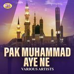Aaqa Tere Wehrde Aa Gya artwork