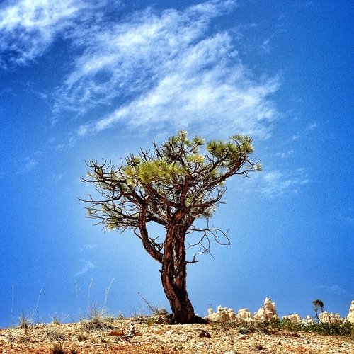 Powerful Sleep and Serenity