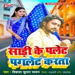 Saadi Ke Palet Paglet Karata