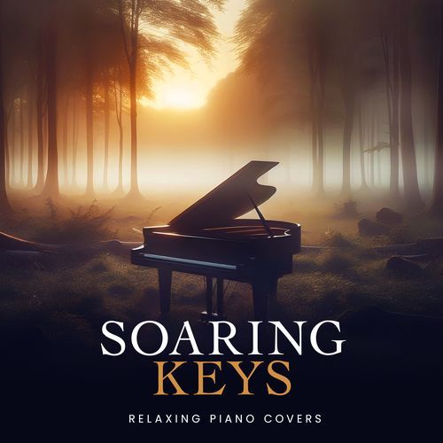 Soaring Keys_poster_image