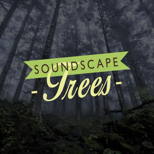 Soundscape: Trees_poster_image