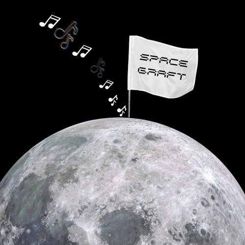 Space Graft cover art