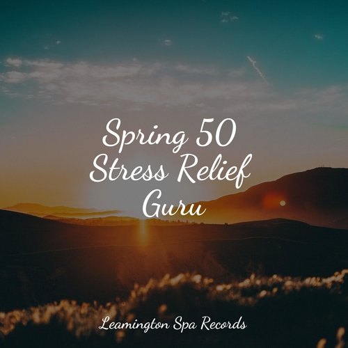 Massage Therapy cover art