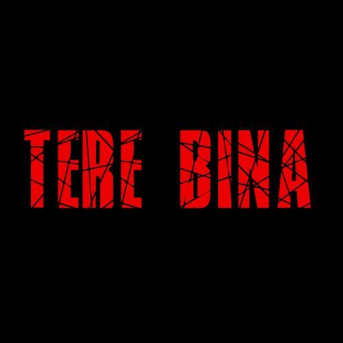 Tere Bina