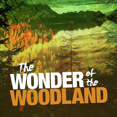 The Wonder of the Woodland