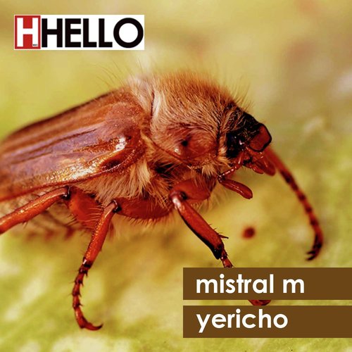 Yericho (Pysh Remix) cover art