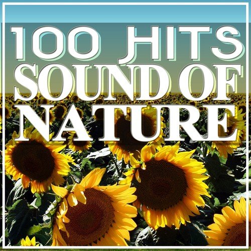 100 Hits Sound of Nature (Relaxing Music)