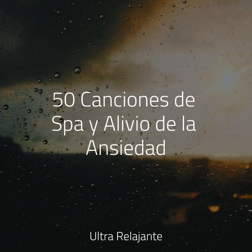 50 Canciones de Spa y Alivio de la Ansiedad_poster_image