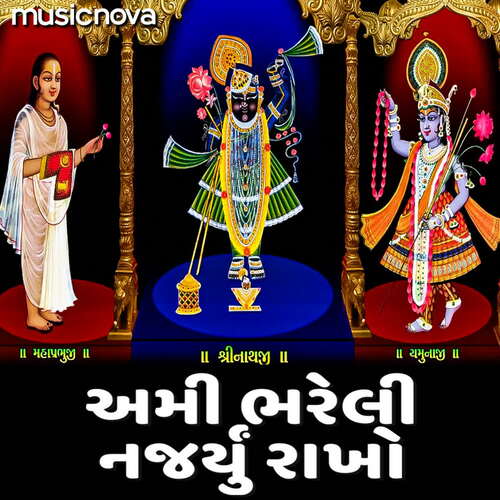 Shrinathji Bhajan - Ami Bhareli Najaryu Rakho