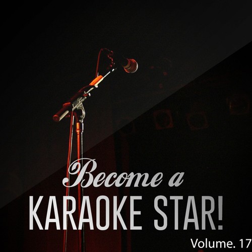 Become a Karaoke Star, Vol. 17