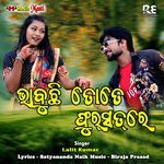 Bhabuchhi Tate Fursat Re