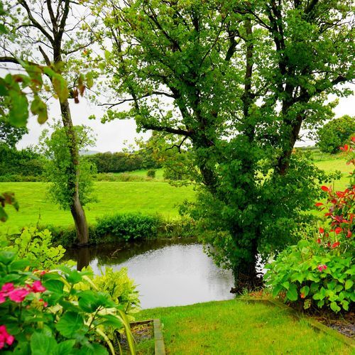 Big River in a Peaceful Garden
