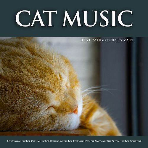 Cat Music: Relaxing Music For Cats, Music For Kittens, Music For Pets While You're Away and The Best Music For Your Cat