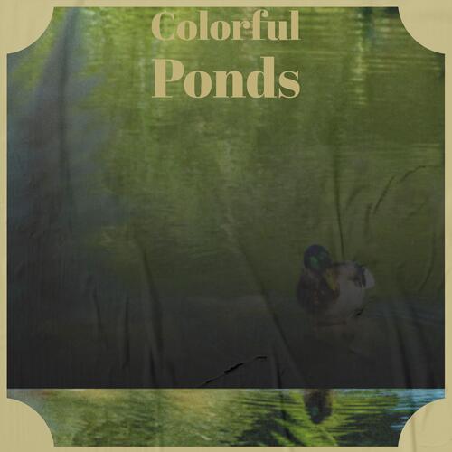 Colorful Ponds