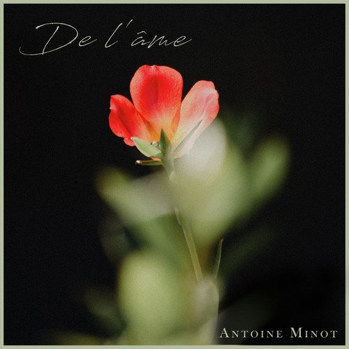 De Angelis cover art