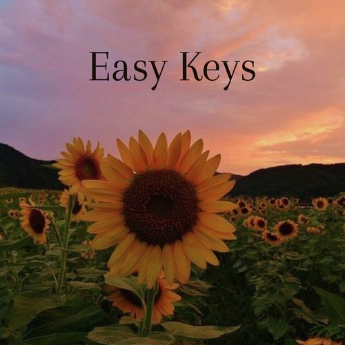 Easy Keys_poster_image