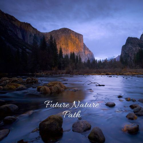 Future Nature Path_poster_image