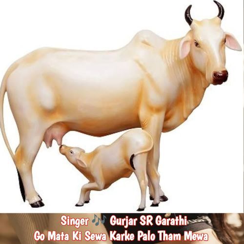 Go Mata Ki Sewa Karke Palo Tham Mewa