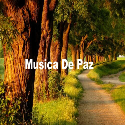 Musica para Relajarse cover art