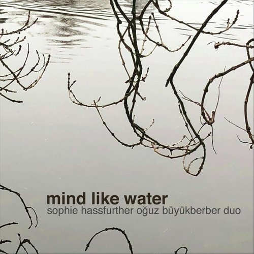 Mind Like Water_poster_image