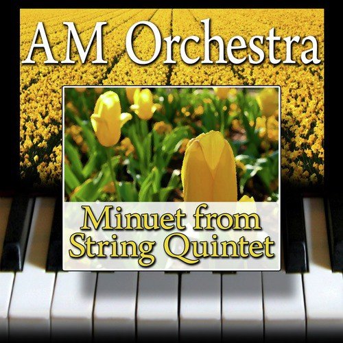 Minuet from String Quintet