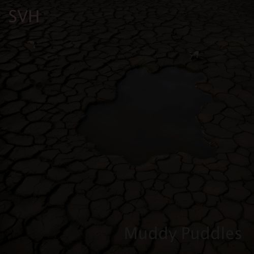 Muddy Puddles
