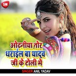Odhaniya Tor Dharail Ba Yadav Ji Ke Toli Me (Bhojpuri Song)